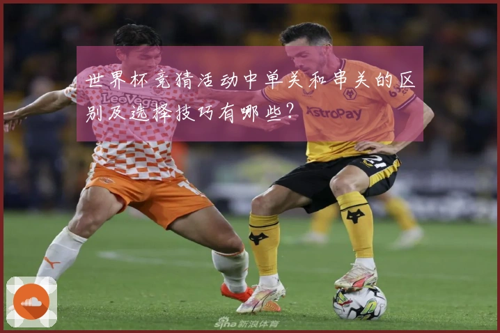 世界杯竞猜活动中单关和串关的区别及选择技巧有哪些？