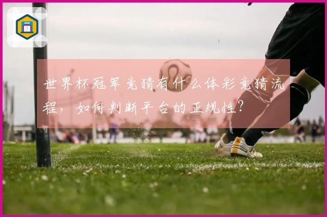 世界杯冠军竞猜有什么体彩竞猜流程,如何判断平台的正规性?