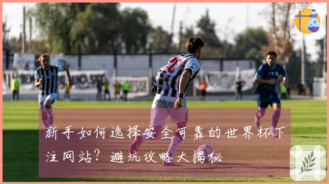 新手如何选择安全可靠的世界杯下注网站？避坑攻略大揭秘