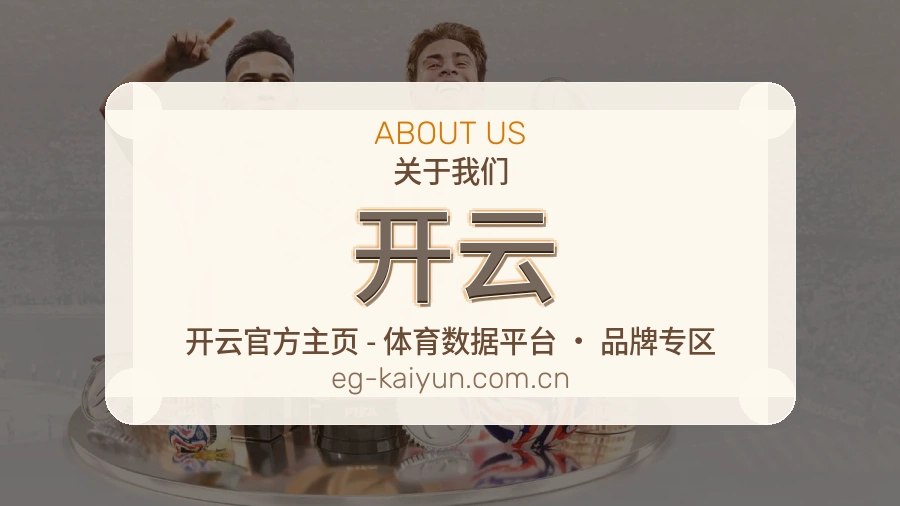 开云关于平台与用户服务展示